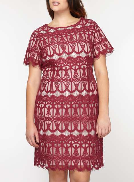 **DP Curve Berry and Cream Lace Penccil dress